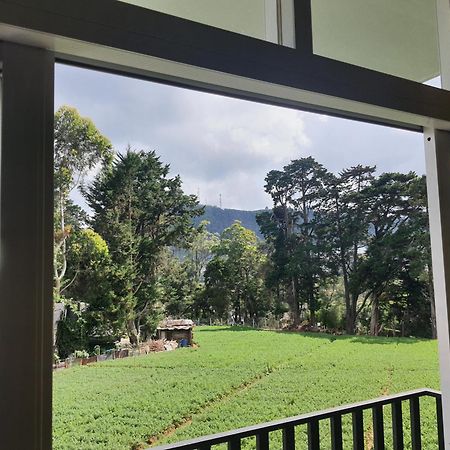 Green Mount View Two Bed Room Apartment Nuwara Eliya Esterno foto