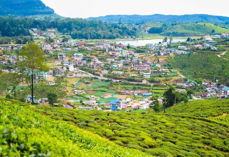 Green Mount View Two Bed Room Apartment Nuwara Eliya Esterno foto
