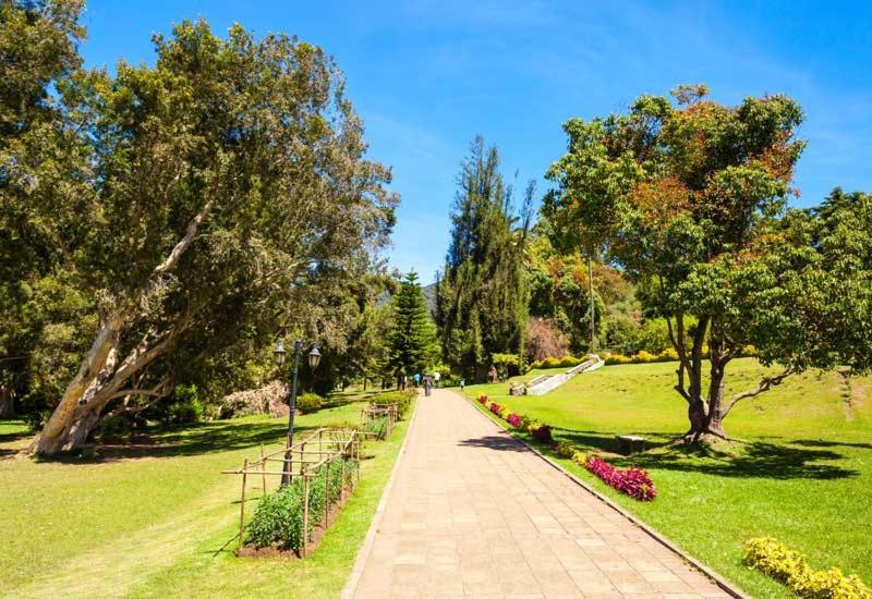 Green Mount View Two Bed Room Apartment Nuwara Eliya Esterno foto